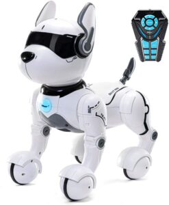 Top Race Remote Control Robot Dog Toy for Kids